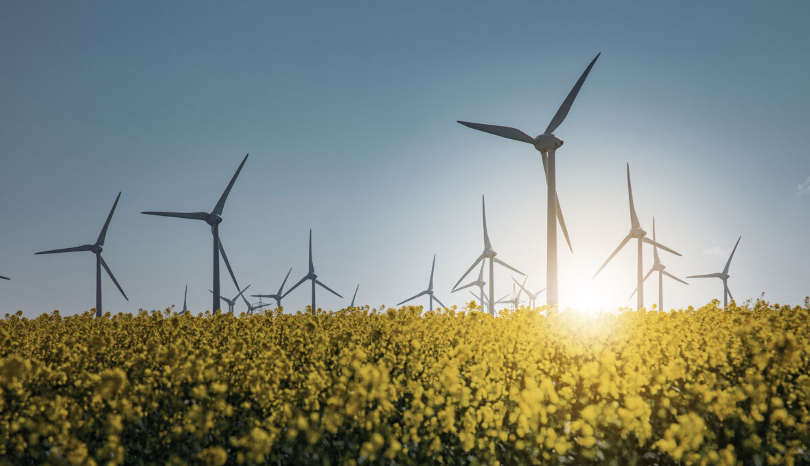 112A3827_lichtpunkt_bearb_höher_web