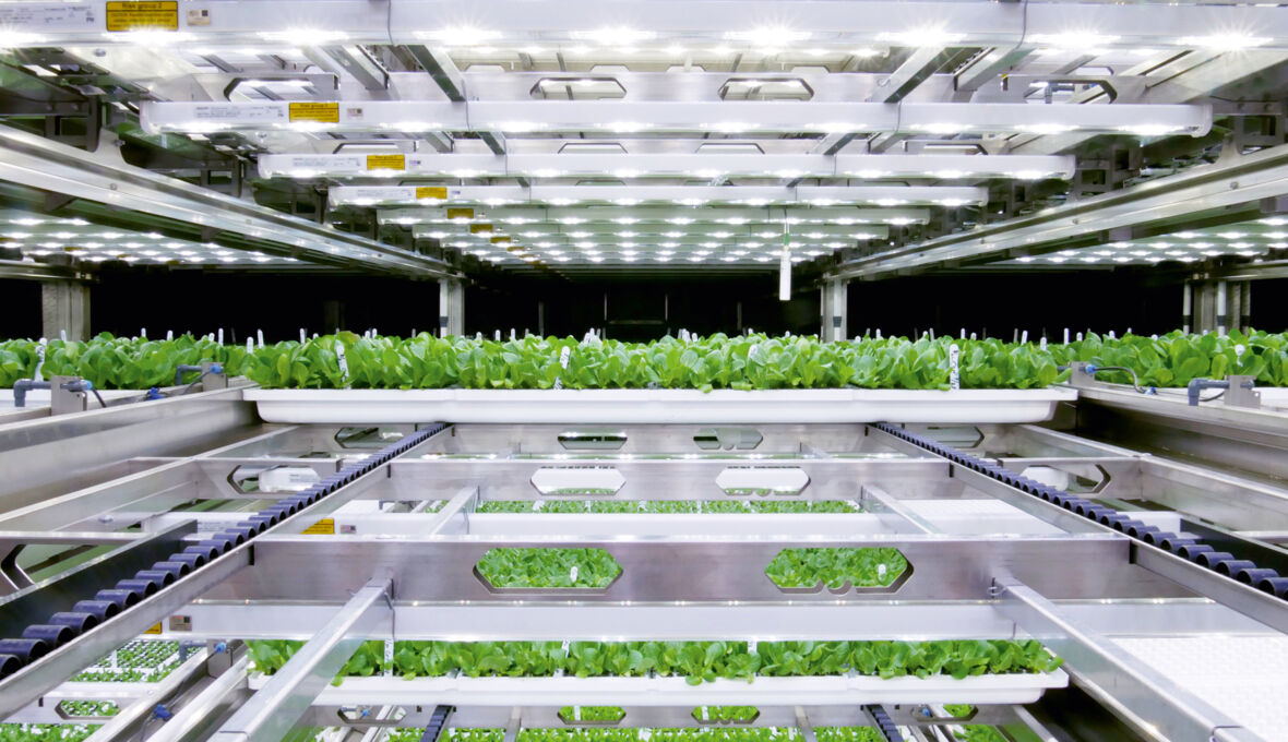Inside cell plants 2 - Artechno Growsystems