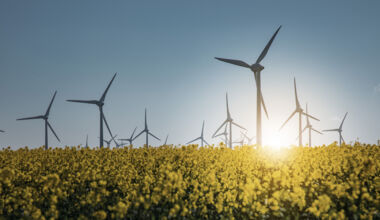 112A3827_lichtpunkt_bearb_höher_web