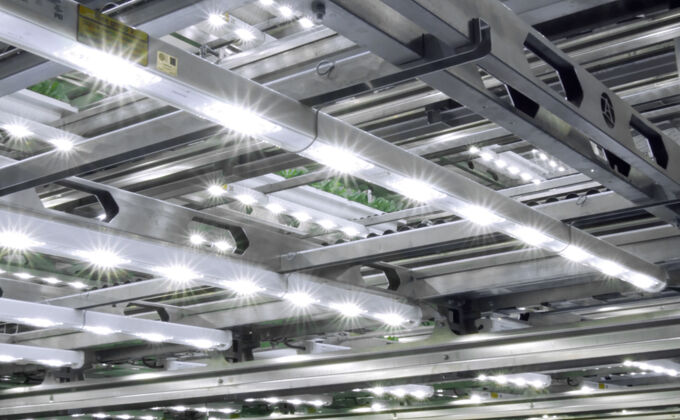Inside vertical farm